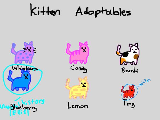 Kitten adoptables! 1 1