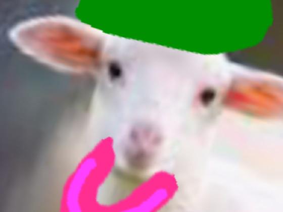 this sheep is sus