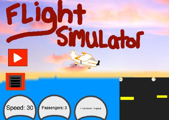 Plane Simulator 11