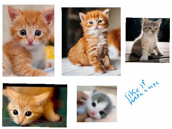 Cute kittys (for kellan) copy