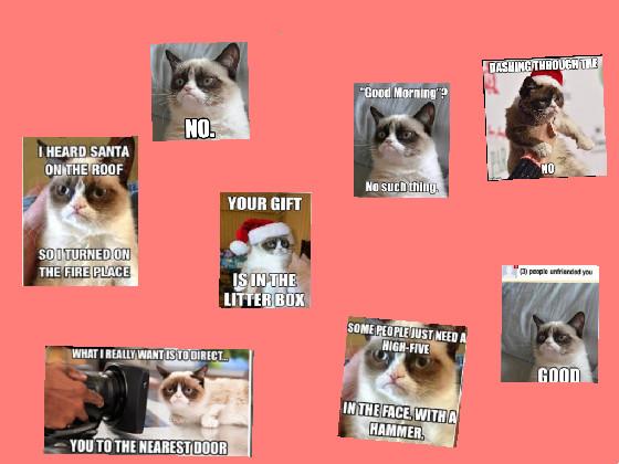 grumpy cat memes