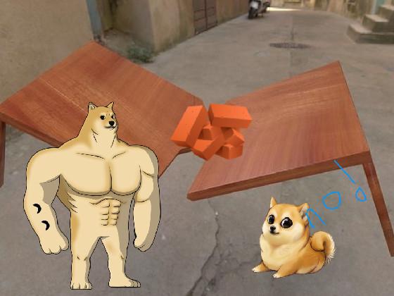 doge our table its broken 1