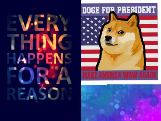 Doge For President!