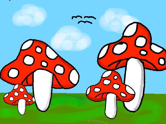 Mushroom Land drawing