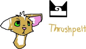 My warrior cats oc