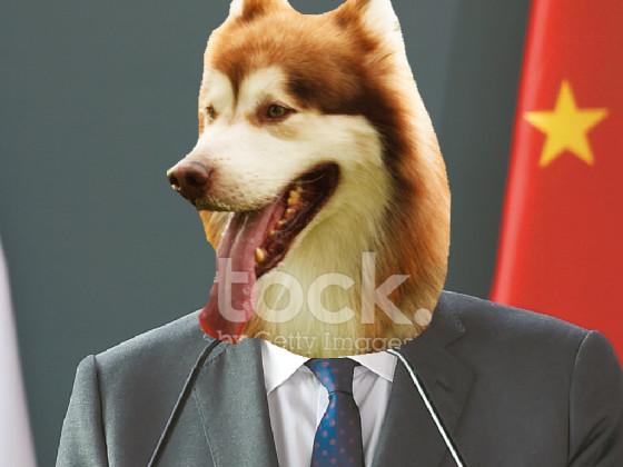 dog president 1