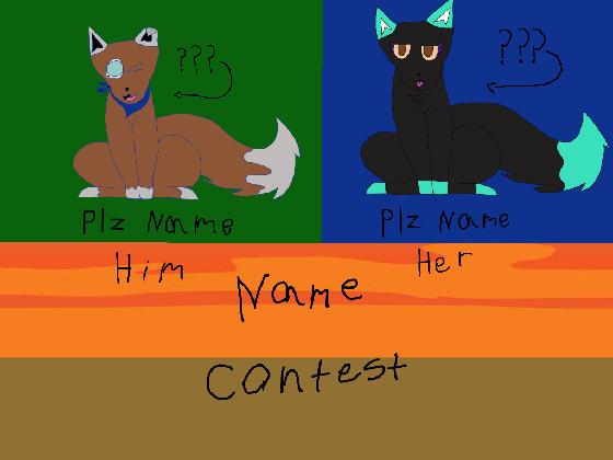 Nameing Contest, pls name