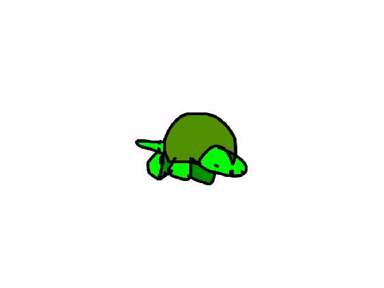 turtle