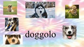 doggolo