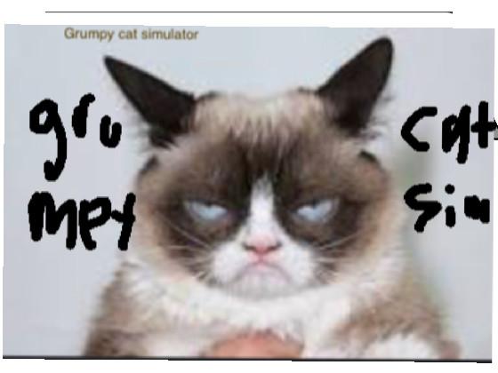 grumpy cat cat sim