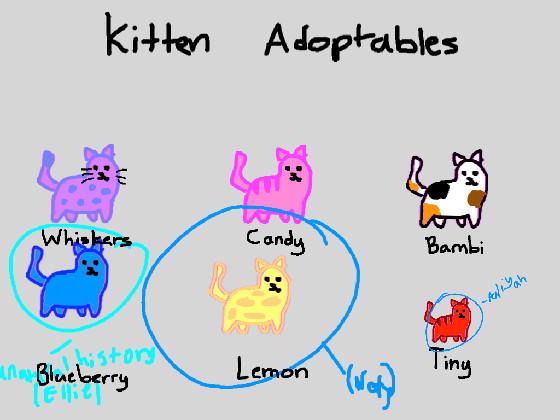 Kitten adoptables! 1 1 1