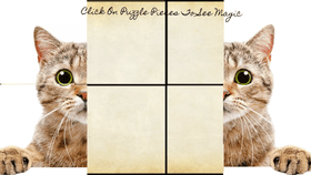 Puzzle (Cat)