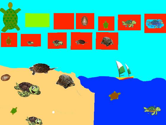 Turtle Clicker! 1