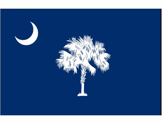 south carolina flag