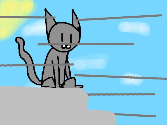 Cat Animation 