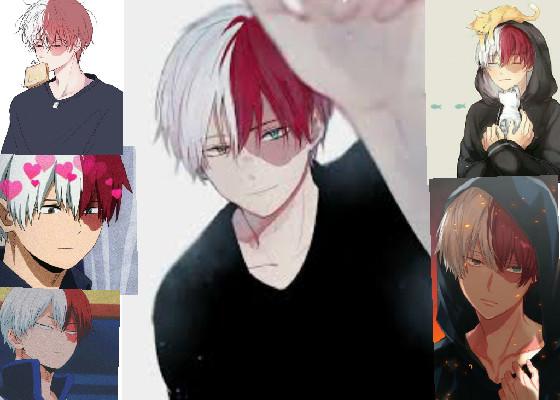 like if you love shoto 1