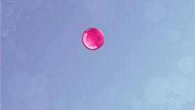 never ending bouncy ball