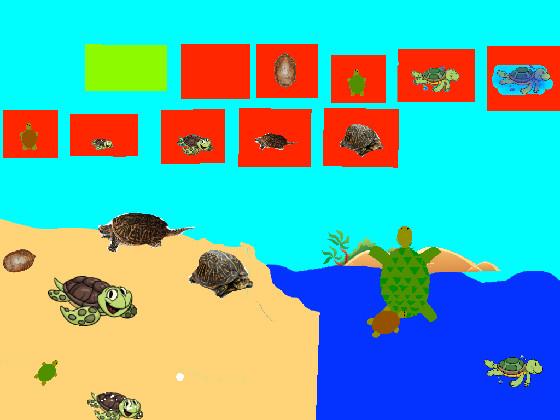 Turtle Clicker!  1