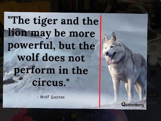 Wolf Quote 