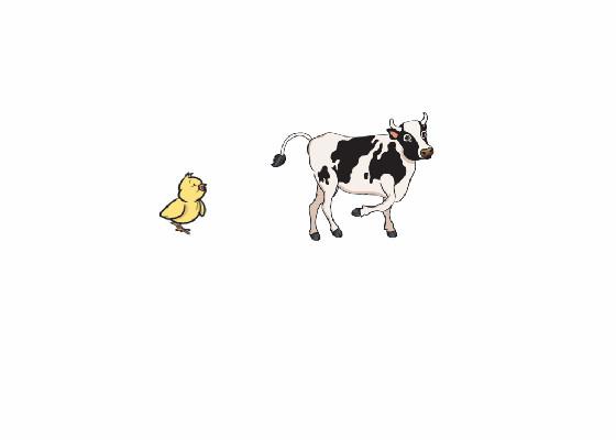 Cow & Chick
