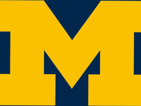 Michigan fan game