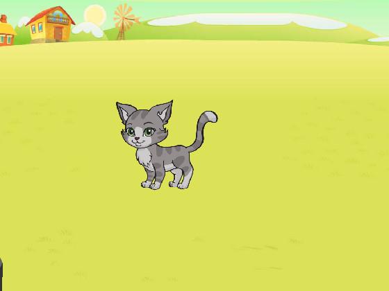 Play with this cute cat!