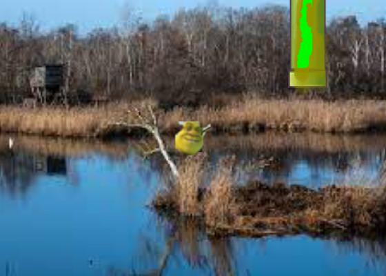 Flappy Shrek