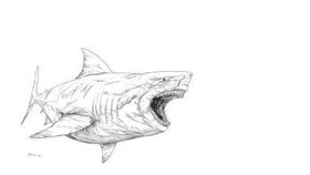 megalodon