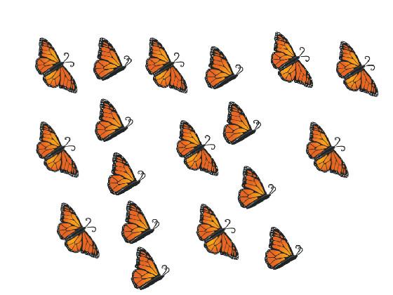  click the butterflies