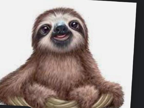 swofy the sloth