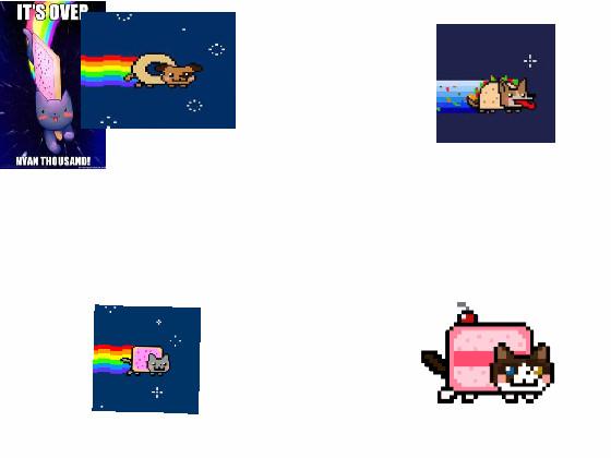 nyan animals