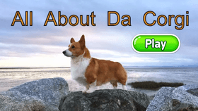 All About Da Corgi