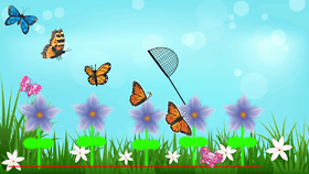 butterfly catch