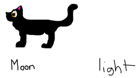 Warrior Cat Maker