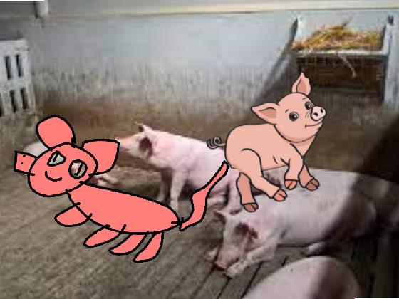 PIG FARM