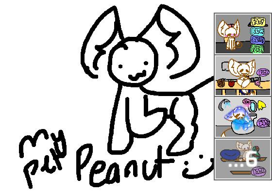 My pet peanut (4 neo)