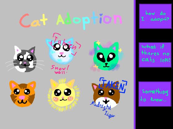 Cat adoption 1