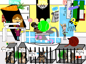 The pet shop!