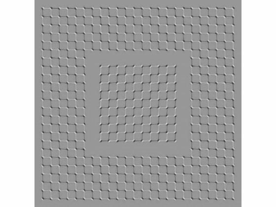 See this image moves