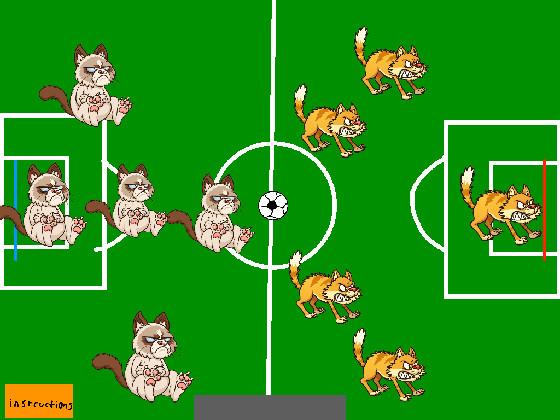 cat soccer