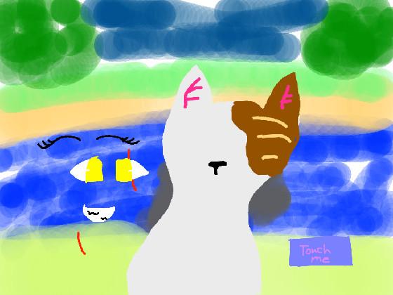 Warrior cat creator!