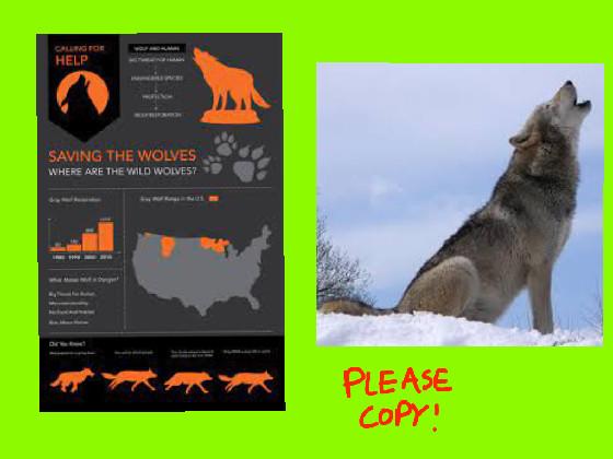 STOP THE HUNT #relistWolves