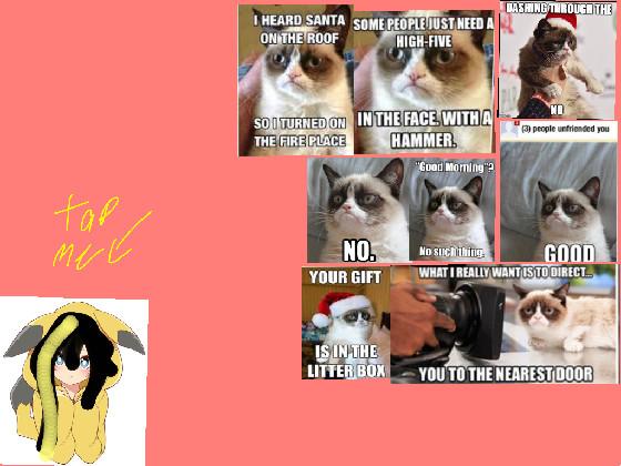 grumpy cat memes 1