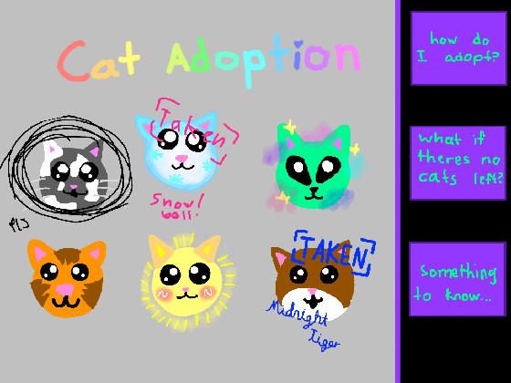 Cat adoption 1 1