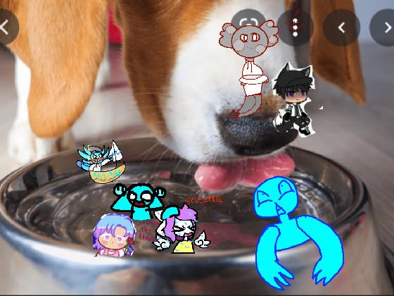 add your oc in the dog bowl (not mine) 999999999999999 1