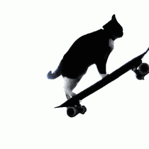 Skating Cat (W.I.P)