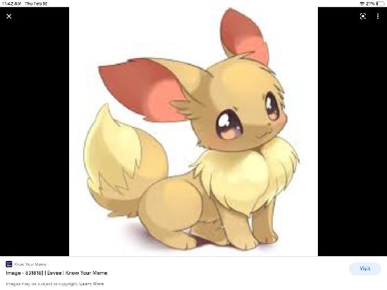 eevee❤️❤️