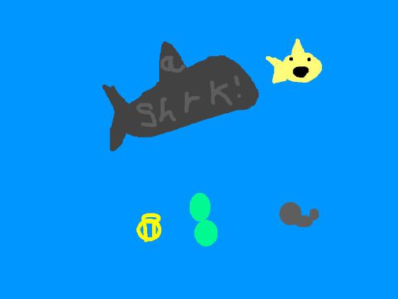 Shark!