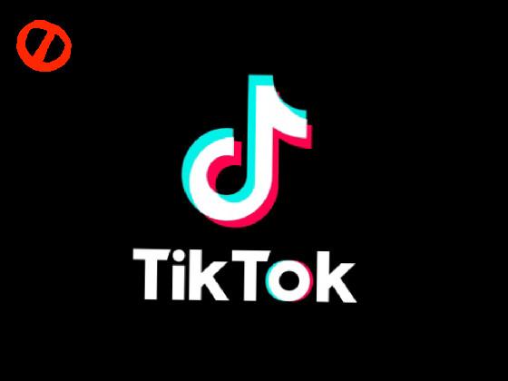 TikTok Sim