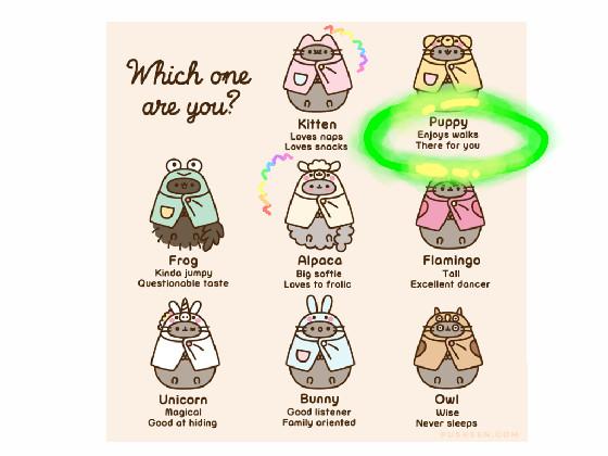 what pusheen animal are u??????